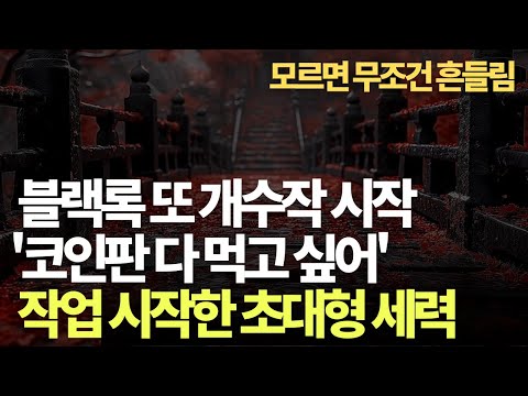   블랙록과 세력의 새로운 작업 시작 비트코인 코인시장 이것 모르면 무조건 털린다