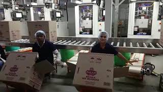 Balaji wafers pvt ltd company ka kam#dangranatv