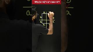 Find: Why (a+b)² = a²+2ab+b²🤔| The Secret To A Powerful Math Formula💡#mathantics #mathtricks