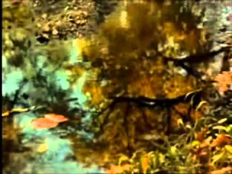 ● იქ, სადაც