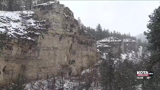 Wildlife biologist explains how cavers can help bats stay healthy