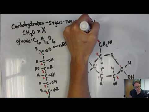 Biol 110 06A: Polymers: Carbohydrates