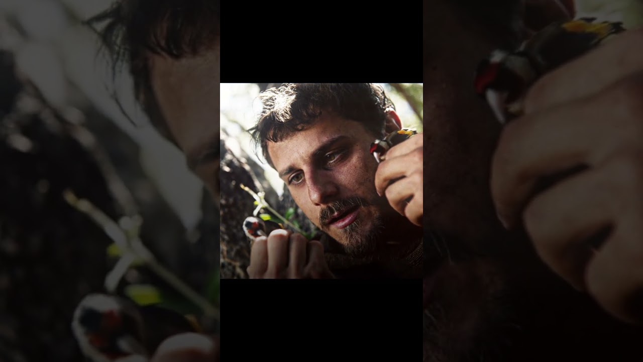 Saint Francis of Assisi is well known for his deep connection with nature, including the birds 🐦