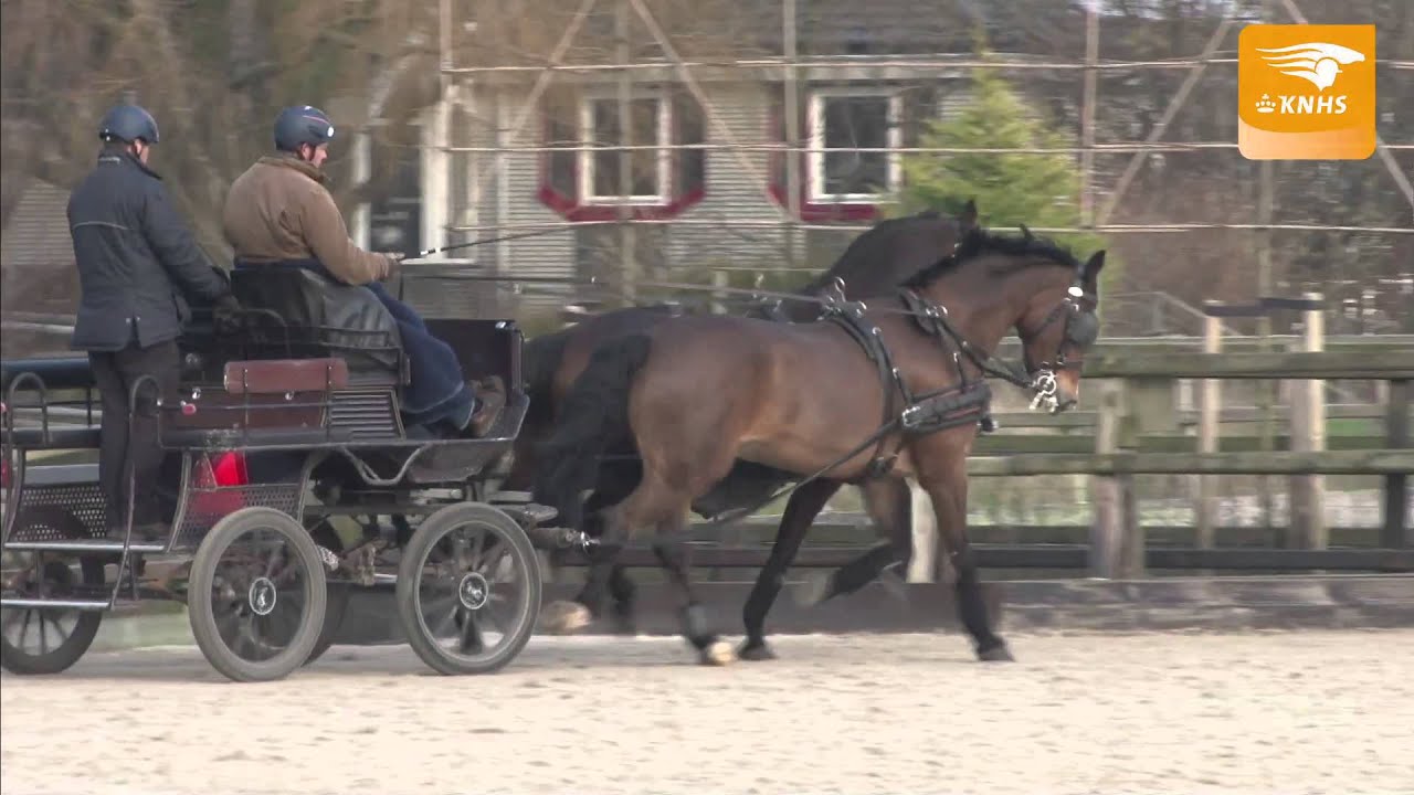 Instructievideo Mennen door IJsbrand Chardon