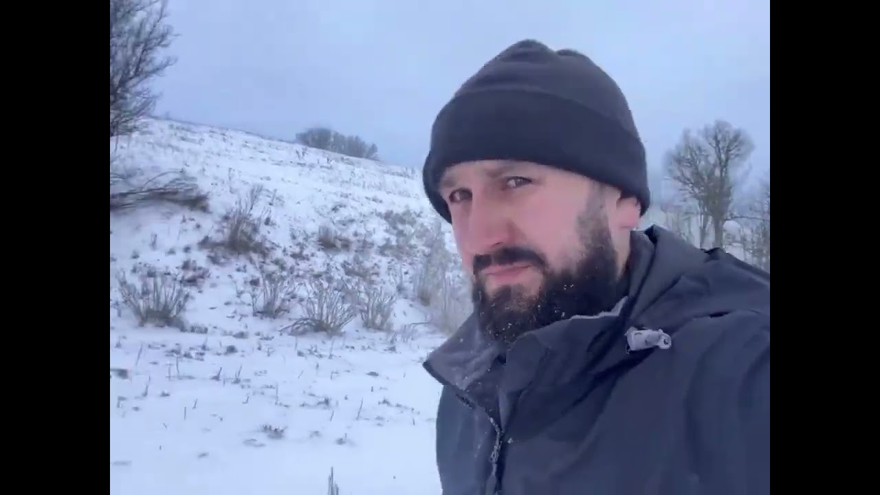 Thick snow covered the entire forest.