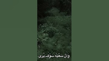 الشيخ الكبير محمد صديق المنشاوي تلاوة تريح القلب والصدر #اكسبلور #القزابري #لايك #المصحف #دويتو