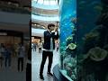 A guy decided to test the strength of an aquarium in a shopping mall with a hammer and he succeeded