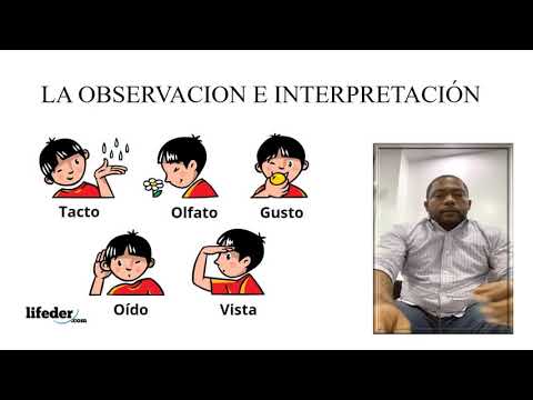 Vídeo: Diferencia Entre Observación E Interpretación