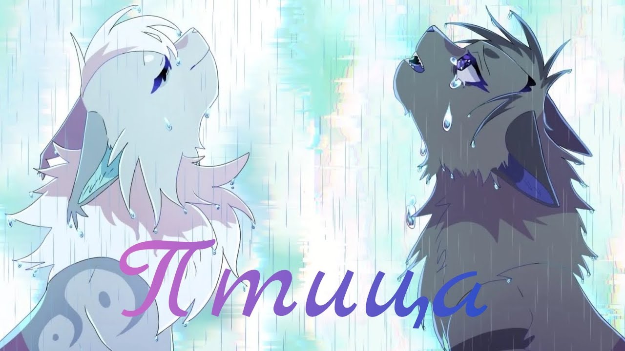 ЗАКАЗ Грач и Ласточка: Птица [Александр Губин) - YouTube