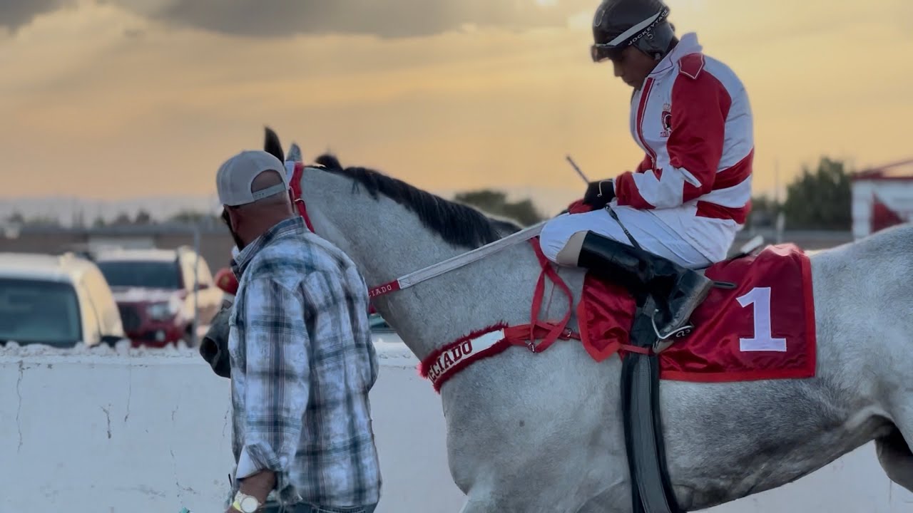 Abierto Millonario En El Estado De Durango | El Pino Real Vs El Andariego Vs El Yogui, Carril 2000