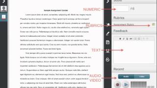 Famous Providing Feedback Using the D2L Assignment Grader Wealth