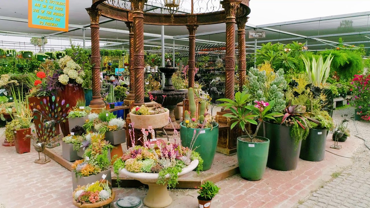 Marina Del Rey Garden Center