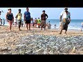 Trincomalee Beach Sri Lanka #fishing
