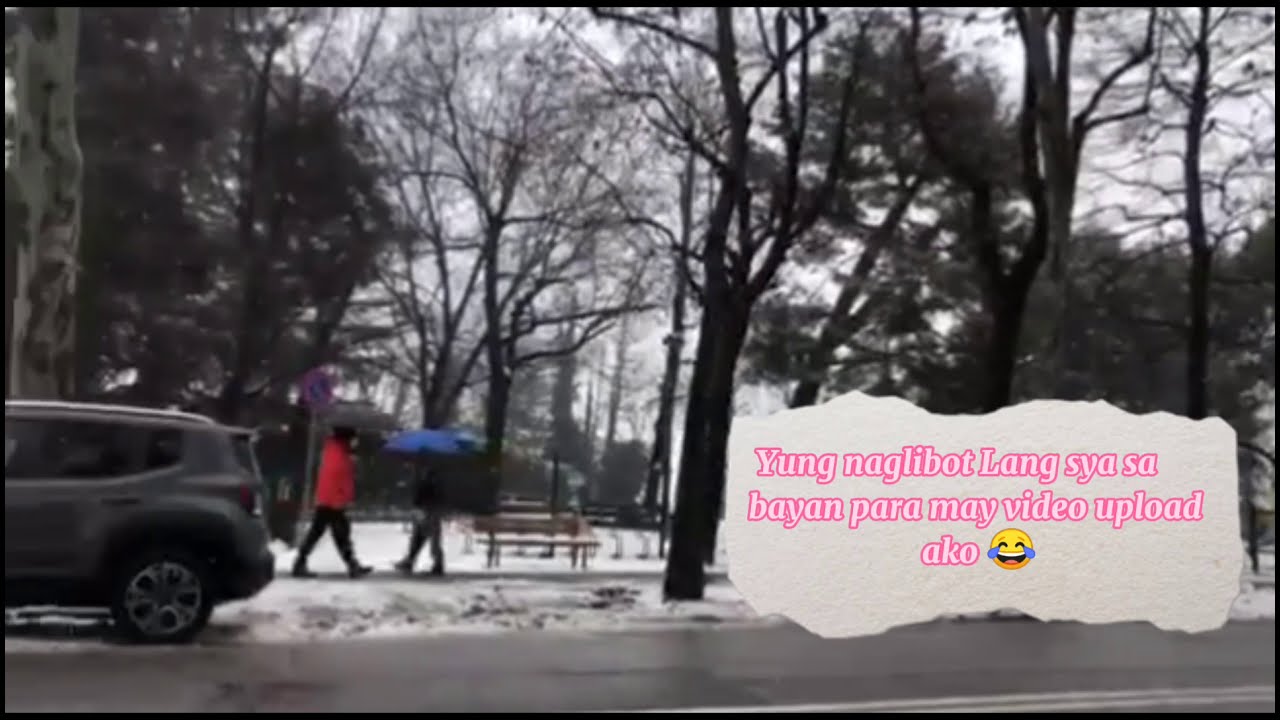 Cuneo Italy Roaming around the Town/ Snowfalls