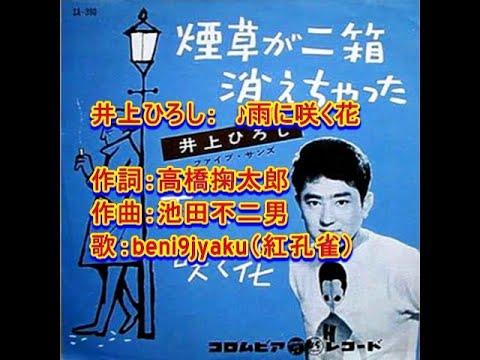 井上ひろし 雨に咲く花 歌 Beni9jyaku 紅孔雀 Youtube 井上ひろし 雨に咲く花 歌 Beni9jyaku 紅孔雀 Youtube