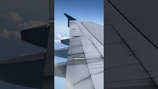 Built to Bend! (Airbus A380 In-Flight Wing Flex)