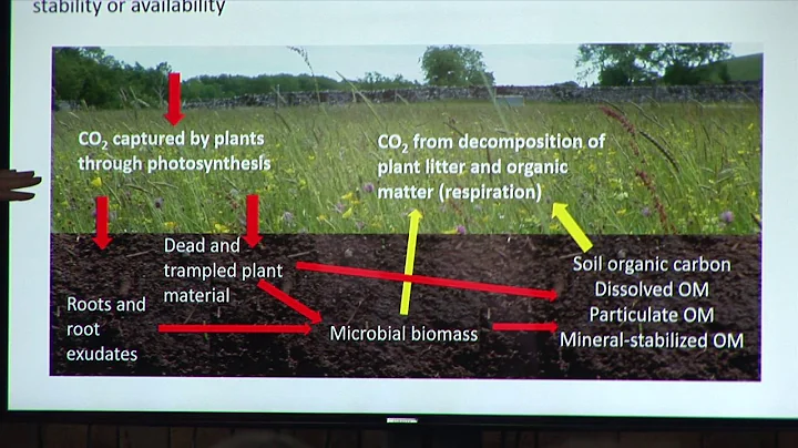 soils conference: jeanette whitaker