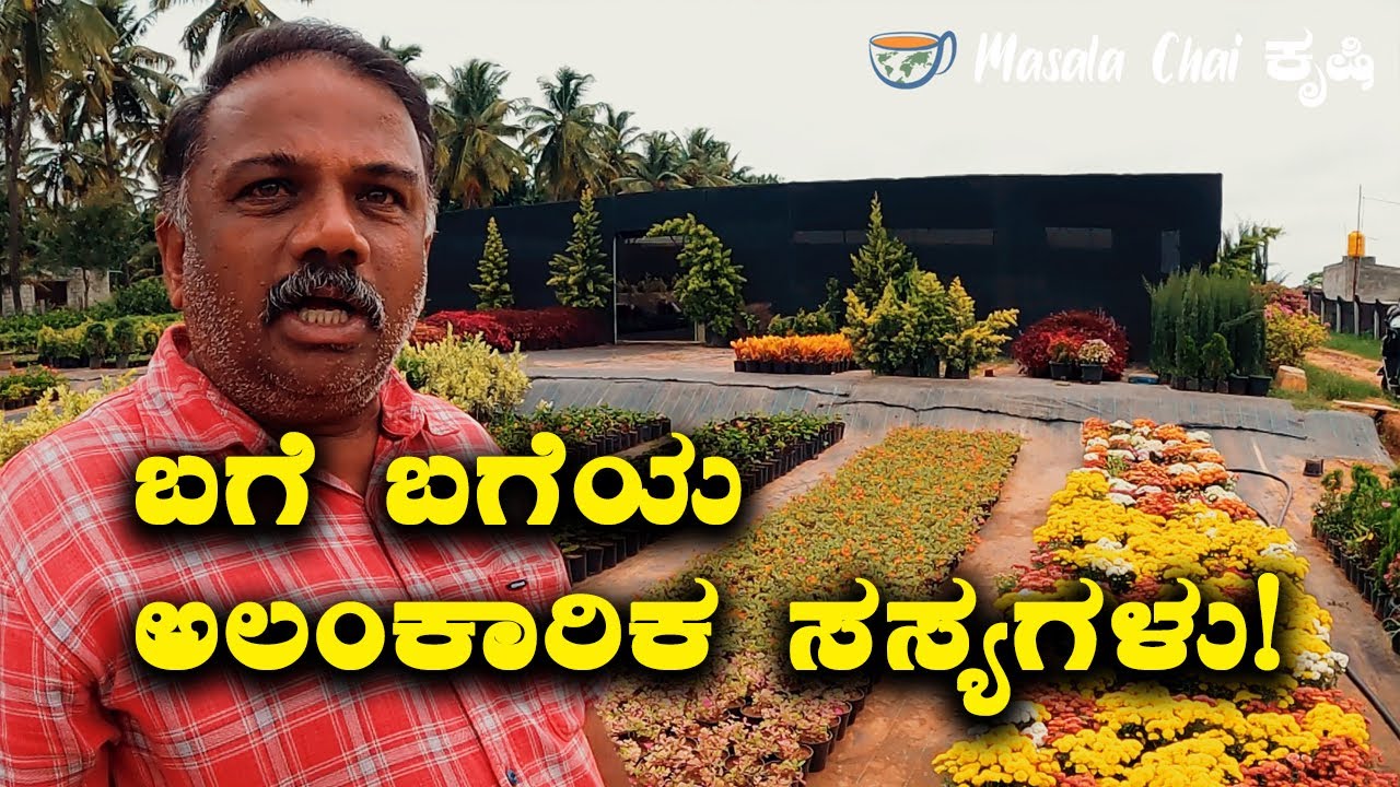 Ornamental plants in Bangalore ಬಗೆ ಬಗೆಯ ಅಲಂಕಾರಿಕ ಸಸ್ಯಗಳು! Krishi in