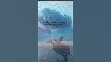 آيات من سورة الجاثية للقارئ الشيخ احمد العجمي