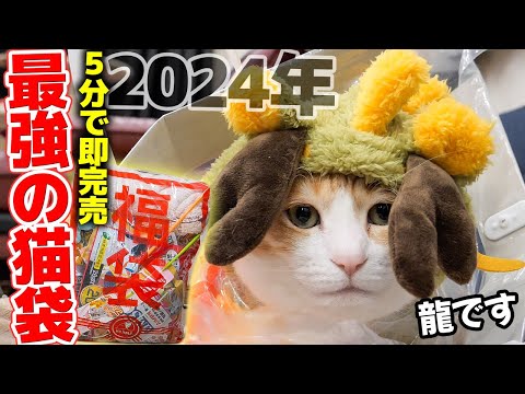 【猫袋】開店して5分で売り切れる最強の福袋を開封したら中身がすごすぎました…【2024年】