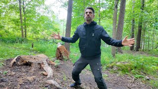 Calm Your Body & Mind | Gentle Mindful Movement for Stress Relief, Mobility & Inner Peace