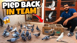 Finally ‼️ Pied Patha Master Cage Mn Wapis Aagya😱| Just Huzaifa Khan | 