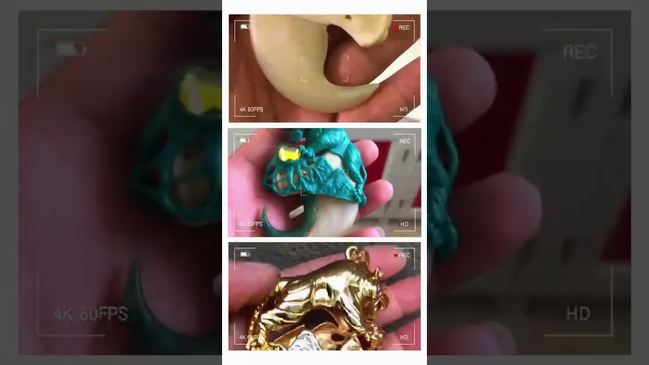 Hổ lên núi - loài quý hiếm cần bảo về 