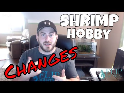 dwarf shrimp compatibility chart The Future of the Shrimp Hobby - Changes in the USA