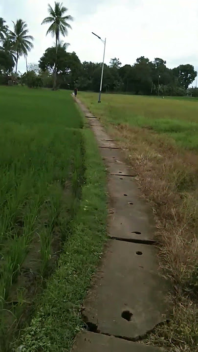 SA PROBINSYA LANG MERONG GANITO #viralvideo #nature #trendingshorts