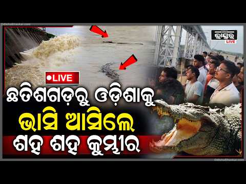🔴Live:ହିରାକୁଦ ଗେଟ୍ ଖୋଲିବା ଆଗରୁ କହିଥିଲେ ହିରାକୁଦ କତ୍ତୃପକ୍ଷ ଆମକୁ ଦୋଷ ଦେବନି...