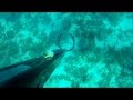 Spearfishing Fl. Keys 2012