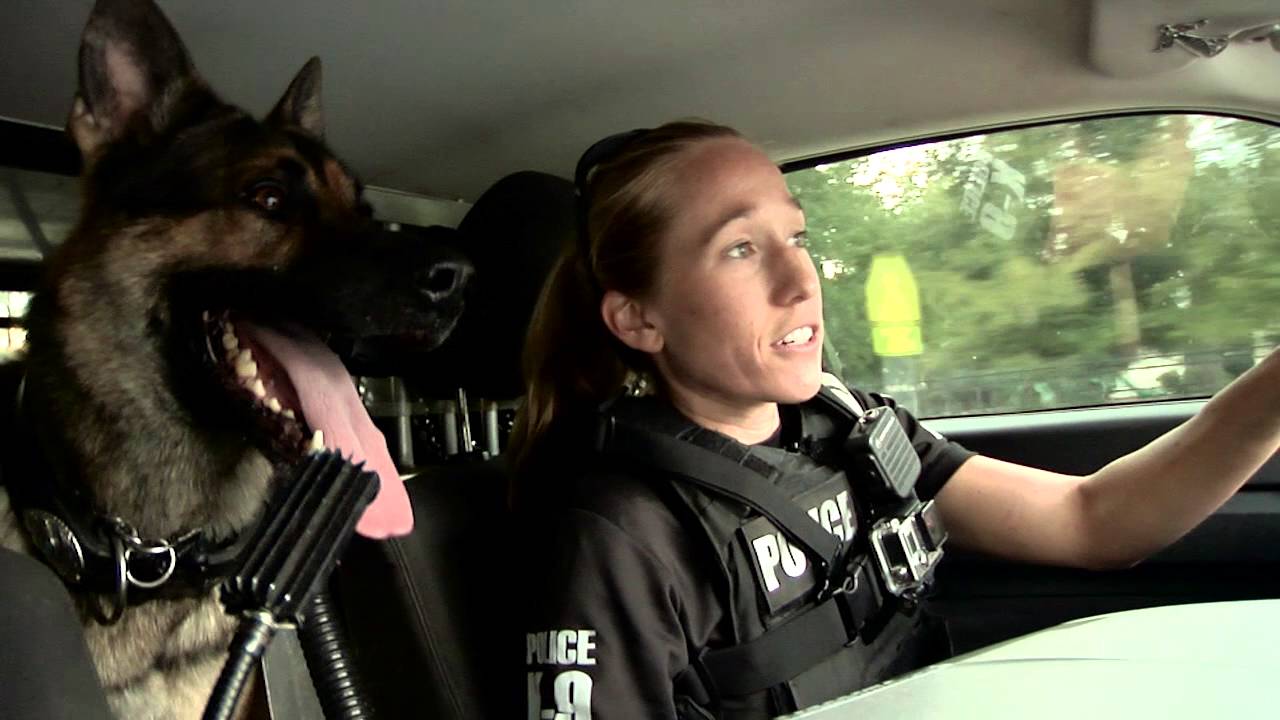 Gainesville PD: On Duty - January 2016 Episode - YouTube