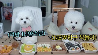 Doggy Mukbang