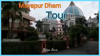 Small Parikrama around HH Bhakti Charu Maharaj's Samadhi Temple at Mayapur | Nitya Seva screenshot 5