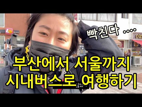시내버스만 타고 부산-서울 여행하기 ( 루트공개, 하루만에 갈수있어 ? )