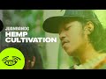 Juanbanog  hemp cultivation by iya terra w lyrics  kaya trips