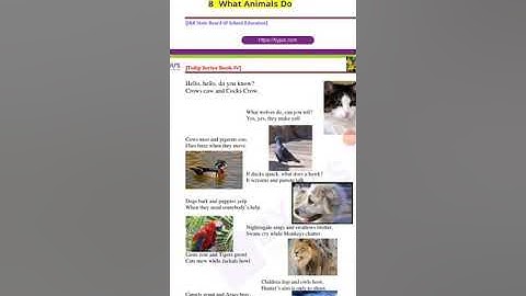 What animals do class 4 English by RAJDEEP KOUR teacher BMS MUQAM