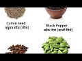 INDIAN SPICES NAME IN BRITISH ENGLISH BY ANIKET SIR #THEPINNACLEACADEMY