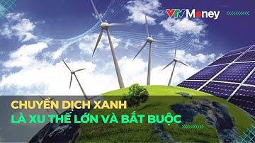 Chuyển dịch xanh là xu thế lớn và bắt buộc | VTVMoney