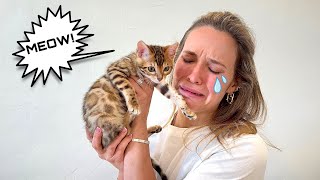 MY EXOTIC CATS ARE LEAVING FOREVER… by Hannah Feder 18,240 views 8 days ago 18 minutes
