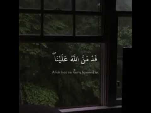 سبحان الله دعونا نرة ان عدد محبين الرسول صلى الله عليه وسلم