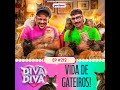 Div&atilde; da Diva #212 - Vida de Gateiros!