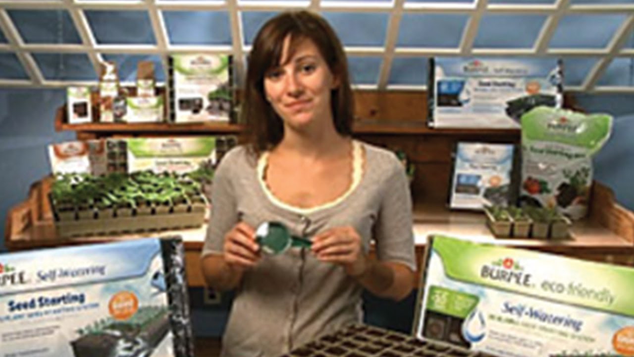 Burpee Self Watering Seed Starting Kits Youtube Burpee Self Watering Seed Starting Kits Youtube