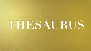 Louis XIII - The Thesaurus Book