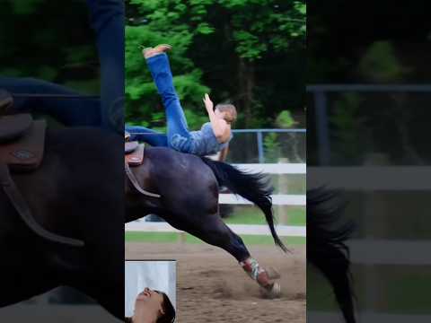 Sansansehorhorse Horse Funnyanimal Funny Funnyhorse Funnypet Horseenthusiast Humor Memes