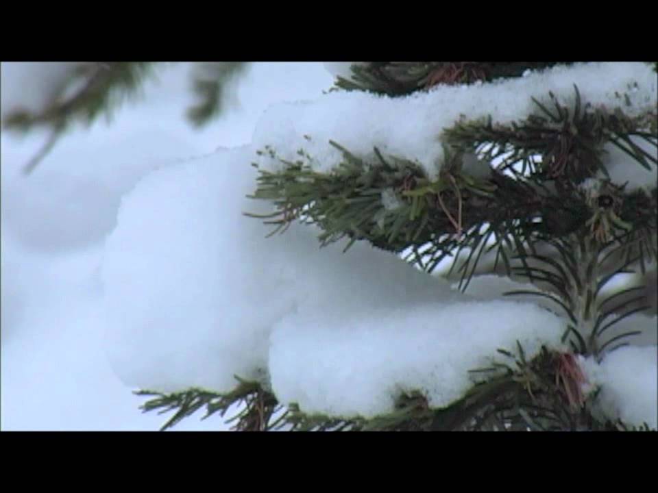 Rain gauges and how to fabricate the rain gauge from a bottle