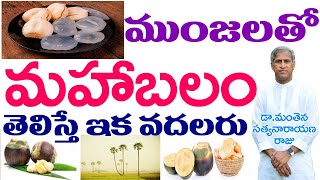 తాటి ముంజలతో మహాబలం| తెలిస్తే ఇక వదలరు | Palmyra Palm | Dr Manthena Satyanarayana Raju | GOOD HEALTH