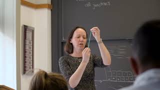 Princeton Profiles: Celeste Nelson, inspired by her students and the beauty of science