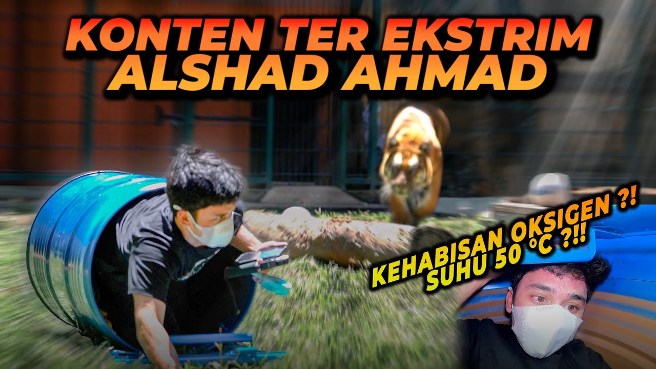 ALSHAD SEMAKIN NEK4T ! LARI DARI GENTONG DI TENGAH KANDANG HARIMAU ! HAMPIR KETERK4M ESHAN !