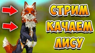 ПРОКАЧИВАЕМ ЛИСУ в игре WildCraft симулятор ЛИСЫ ПРОКАЧИВАЕМ ЛИСУ в игре WildCraft симулятор ЛИСЫ
